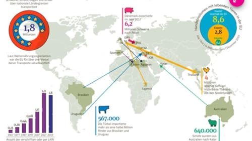 Globtrotter ohne es zu wollen