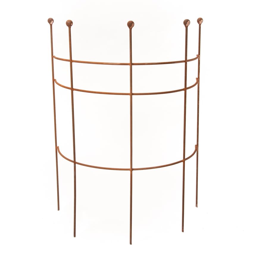 ecosoul Staudenhalter Strauchhalter Staudenstütze Rankgerüst halbrund braun Rost Rankhilfe Metall Eisen Deko 85cm hoch 1 Stück (70cm breit x 85cm hoch)