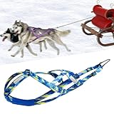 Colcolo Hunde-Laufgeschirr, Zuggeschirr, Geschwindigkeitstraining, Sport, Profi, Schlittengeschirr, Blau M