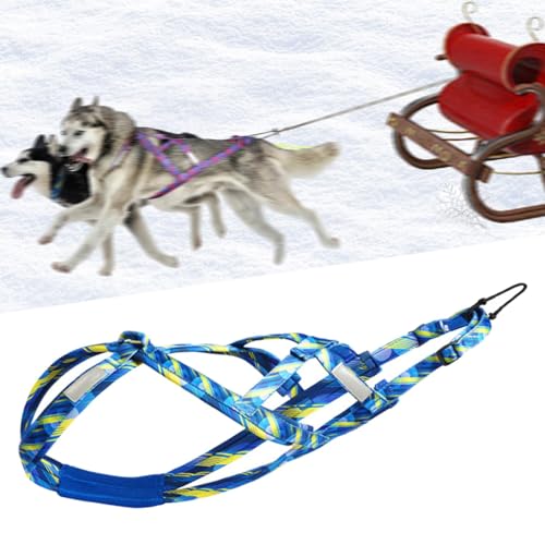 Colcolo Hunde-Laufgeschirr, Zuggeschirr, Geschwindigkeitstraining, Sport, Profi, Schlittengeschirr, Blau M