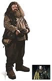 Fan Pack - Hagrid from Harry Potter Lifesize Cardboard Cutout (Standee / Standup) Robbie Coltrane - Includes 8X10 (25X20Cm) Star Photo