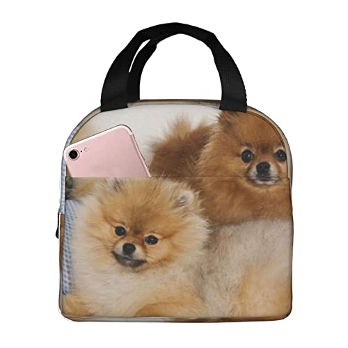 Debou Cute Pomeranian Insulated Lunch Bag Cooler Tote Reusable Leakproof Lunch Box Easy Clean For Work Office Picnic Beach Or Travel #TOP26