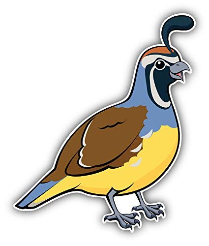 DG Graphics California Valley Quail Bird Art Decor 4'' x 5'' Vinyl Decal Sticker Wall Window Any Smooth Surface