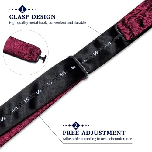 Set de corbata de moño y pañuelo blanco clásico para adulto miniatura 4