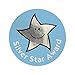 Silver Star Award - Adesivi metallici a forma di stella