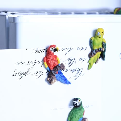 5 imanes de loro decorativos para refrigerador miniatura 3
