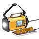 [10,000mAh Akku] Raddy SH-906 Notfallradio, tragbares Solar-Handkurbelradio mit AM/FM/SW/VHF, Taschenlampen-Leselampe, SOS, Kompass, Handy-Ladegerät für Survival im Freien