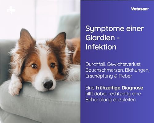 Vetasan 2X Giardien Schnelltest für Hund & Katze I Professioneller Giardientest zuverlässig & schnell I 98,3% Genauigkeit I Giardien Test, Giardia Test