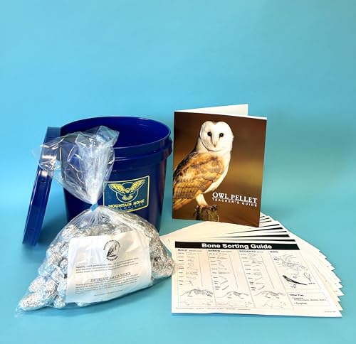 P1A-50: Bargain Bucket, 50 JUMBO OWL Pellets with Teachers Guide and Bone Sorting Sheets