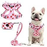 PUPTECK Dog Harness and Leash Set Small Sized, Step in No Pull Adjustable Puppy Cat Harness Reflective Pet Vest