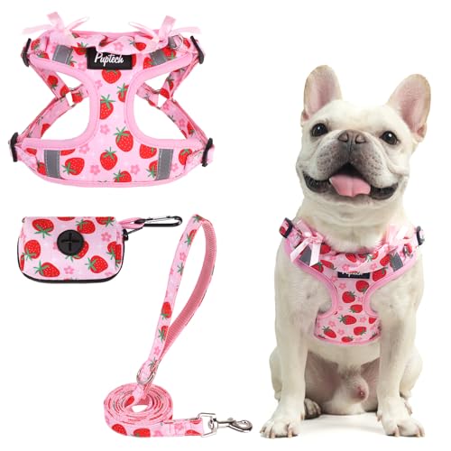 PUPTECK Dog Harness and Leash Set Small Sized, Step in No Pull Adjustable Puppy Cat Harness Reflective Pet Vest
