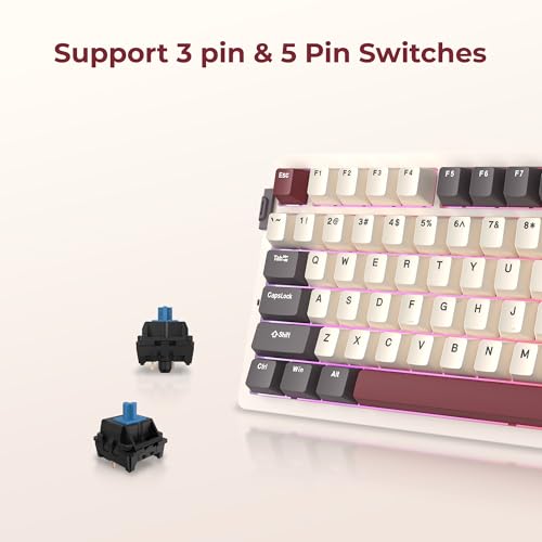Image of Rosewill Neon S75 Wireless Mechanical Gaming Keyboard, 80-Key Layout w /Volume Knob, Bluetooth / 2.4GHz / USB-C, Hot-Swappable Blue Switches, RGB Backlit, 6000mAh Battery, Windows & macOS, White