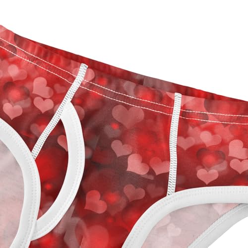 Boys' Exclusive Briefs Toddler Underwear 95% Combed Cotton Boxerbriefs 2T Blurred Heart Pattern 214