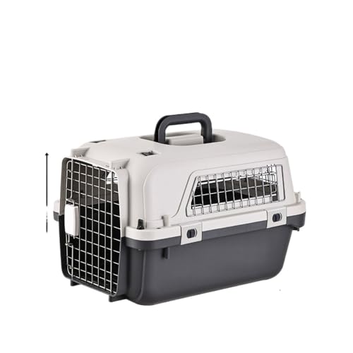 OGXN ybgq ybgAP[W bV݌v o_td̓LX^[ {hA Eh~\ t\ q󗷍sΉ ԐVp 咆^L h?H sSpi O[n (02)