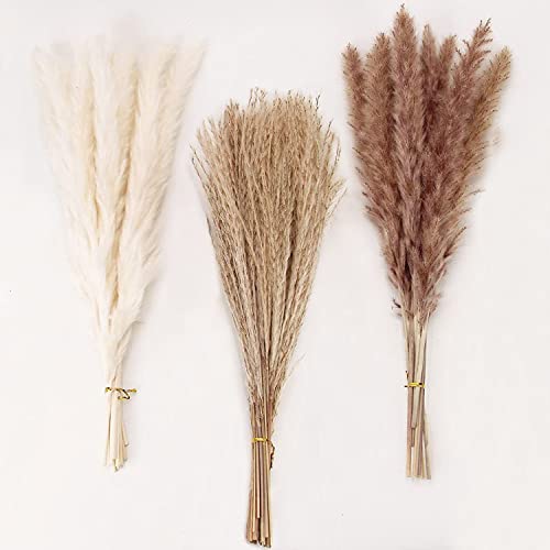 60 Pcs Dried Pampas Grass Decor - Pompass Grass Branches/ Dried Pompous Grass for Flower Arrangements Wedding Home Decor( 15 Pcs Brown Pampas Grass& 15 Pcs White Pampas Grass &30 Pcs Reed Grass)
