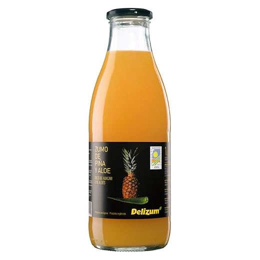ZUMO PIÑA & ALOE 200 ML DELIZUM