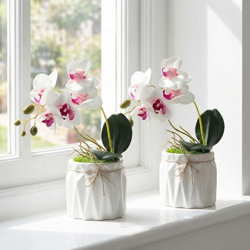 Image of Dekorly Artificial Lavender Plant in White Pot, 18cm - Realistic Faux Flower Arrangement for Home & Office Decor (Set of 1) (2, White Orchid)