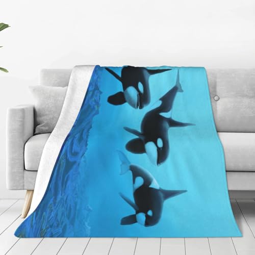 ѕz T V` Cm  Aj y uPbg tl 􂦂 ÓdCh~ g _炩 ӂӂ lGKp 76cm×102cm