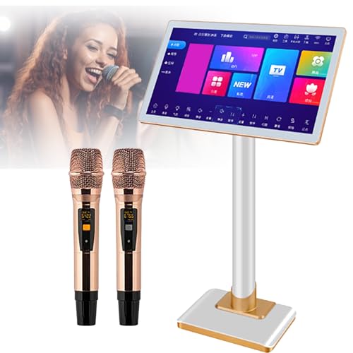 Reproductor de karaoke de 19/21,5 pulgadas, pantalla táctil HD, control de voz inteligente, almacenamiento de 500 GB a 8 TB + múltiples interfaces, para fiestas en interiores y exteriores. (A 19inch)