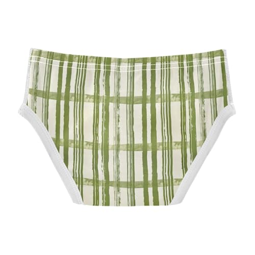 visesunny Boys Potty Training Underwear Matcha Plaid Texture Breathe Cotton Briefs Size 2T-8Y for Toddler2