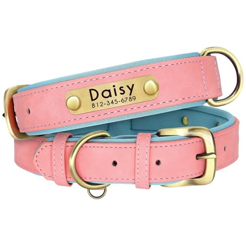 p[\iCYꂽpbhtU[hbOIDl[v[gݕtDOPoodle Chihuahua Shiba Inu BulldogɓKĂ܂,a,XS