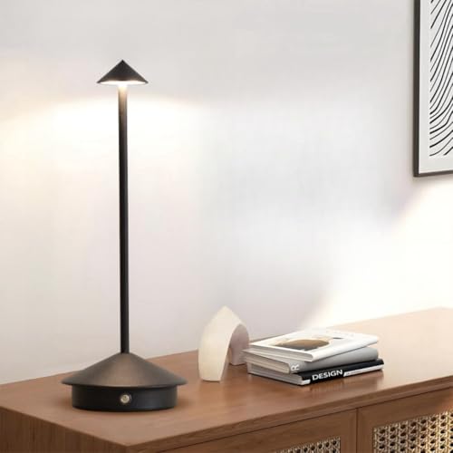 ԐڏƖ X^hCg iCgCg fXNCg xbgTChv k R[hX  v 3ސF iK Type-C[d ^b`  CeA IV LED ڂɗD (A)