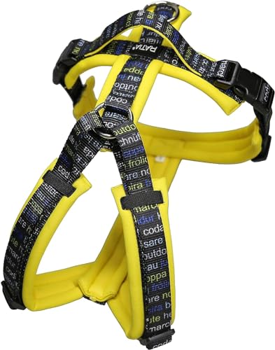 Ratia fUCX^WI eBA kfUC [n[lXEeBA eBACG[ L