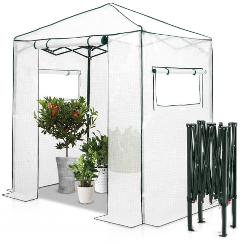 Image of EAGLE PEAK 6x4 Easy Setup Small Pop Up Greenhouse, Clear /White