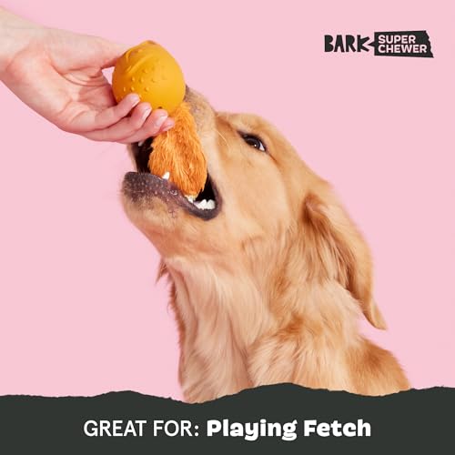 Image of BarkBox Franz The Fox Dog Toy | Natural Rubber, Bacon Scented, Thrashy Tail & Wacky Bounce | Dog Toy for Aggressive Chewers