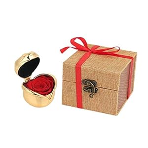 Geconserveerde bloem roos Eterna geschenk rood nooit vervagen fantasie ondodelijk gouden doos Valentijnsdag Kerstmis…