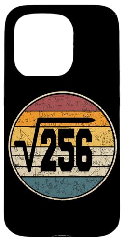 256 �̕����� 16 �΂̒a���� ���B���e�[�W 16 �� �X�}�z�P�[�X iPhone 15 Pro �p