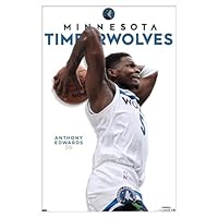 Amazon.co.jp: Trends International NBA ミネソタ