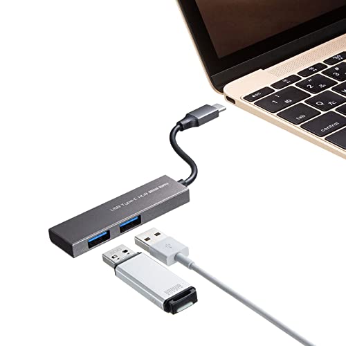 サンワサプライ USB Type-C 2ポートスリムハブ USB-3TCH24SN シルバー