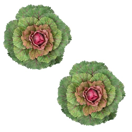 Tasruwat 2PCS Faux Ornamental Cabbage UV Resistant Fake Vegetables Artificial Kale Plants for Outdoor Planters Front Porch Decor Window Box Fall Garden and Home Decoration (Purple-red)
