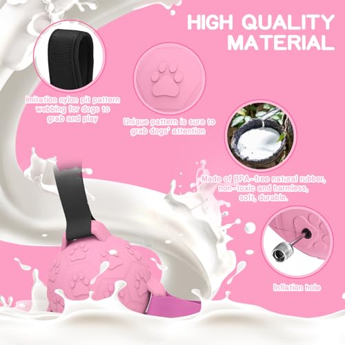 TASDISE Balls da cane in gomma interattiva