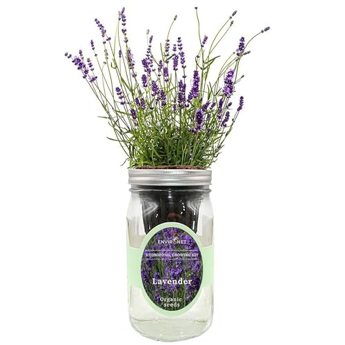 Environet Hydroponic Herb Growing Kit, Self-Watering Mason Jar Herb Garden Starter Kit Indoor, Windowsill Herbs Garden, Grow Your Own Herbs from Organic Seeds (Lavender)
