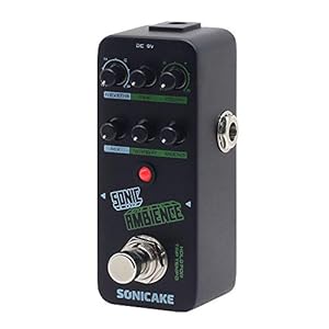 SONICAKE Delay en Reverb Gitaar Effect Pedaal Sonic Ambience Multi Mode Tap Tempo