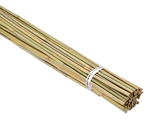 2FT-3FT-4FT-5FT-6FT Bamboo Garden Canes/Stake/Pole Garden Plant Flower Support Sticks Outdoor/Indoor Natural Strong Plants Support (15, 3ft -90cm (10-12mm))