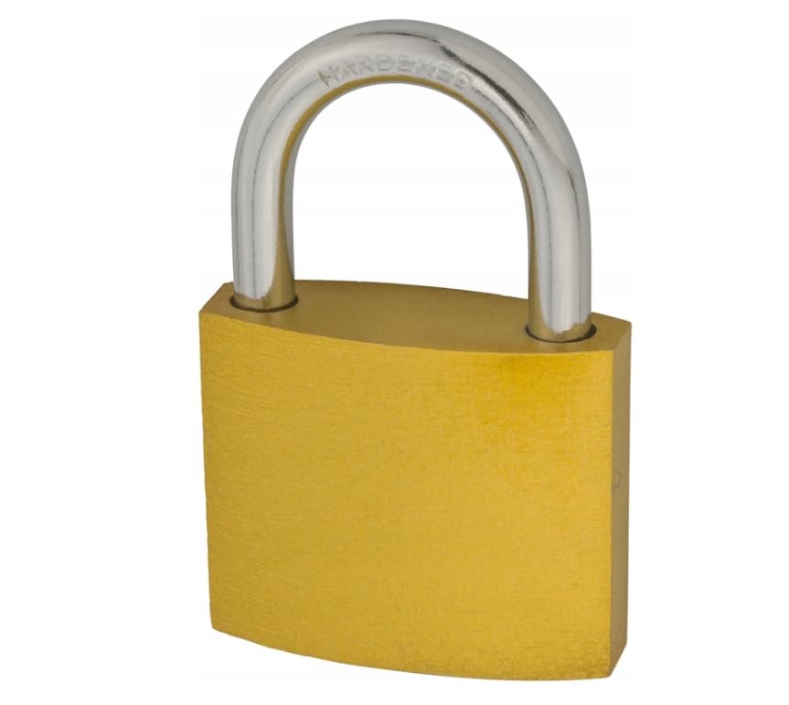 Vorhängeschloss 50 mm 20 Stück | gleichschließend, Schloss, Gusseisen, Schlüssel für alle Schlösser, Mehrfachpack, Lager, Garage, Schuppen, Tor