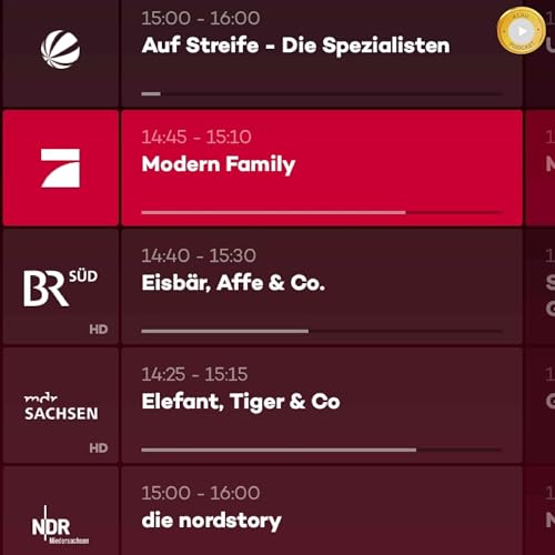 Couverture de Fernsehen 4 lau