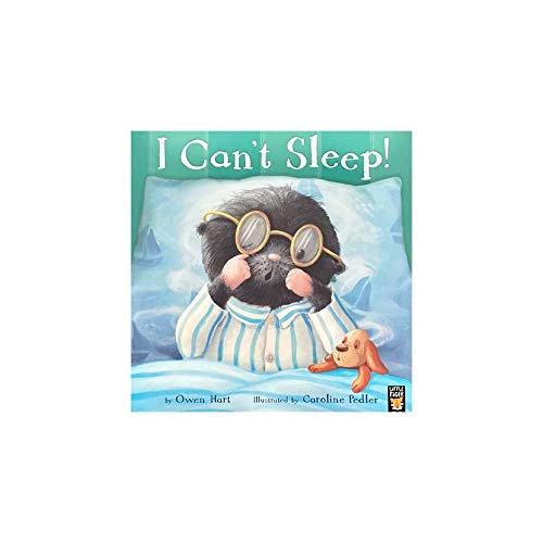 I Cant Sleep