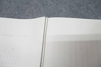 Amazon.co.jp: WM25-087 河合塾 早稲田大学 早大/私大現代文