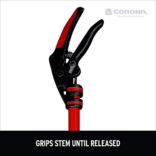 Corona LR 3460 Long Reach Cut 'n' Hold Pruner, 46-Inch, Red