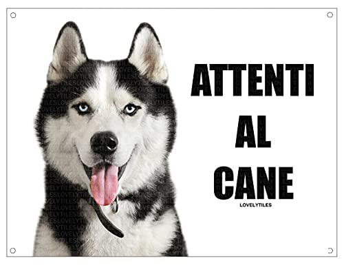 Targa Metallo 'Attenti Al Cane' Per Lagotto - 20x30 Cm, Personalizzabile Con Foto - Foto 14