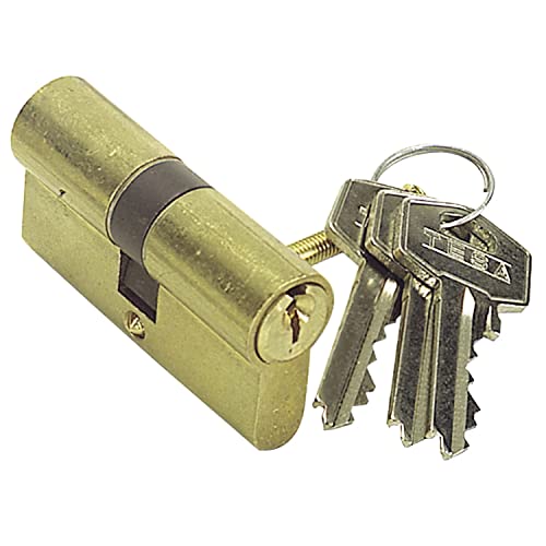 Tesa Assa Abloy, 50303030L, Cilindro De Seguridad Te5, Leva Larga, 30X30Mm, Latonado
