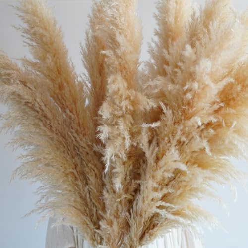 5 piezas pampas grass 50-60 cm decoración boho miniatura 4