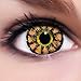 Produktbild Linsenfinder Lenzera Circle Lenses braune 'Sweet Brown' ohne und mit Stärke + Kombilösung + Behälter Big Eyes farbige Kontaktlinsen