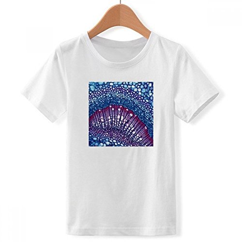 T-Shirt Crew Plant Science Cell blanc grand confort XXL pour adolescent passionné de biologie