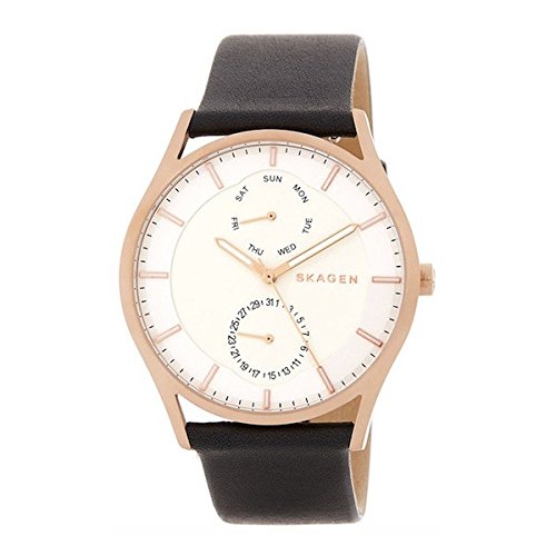SKAGEN[�X�J�[�Q��] skw6316 Holst Leather Strap Mwn's Watch SKW6316 �z���X�g ���U�[ �N�E�H�[�c �����Y�r���v �f���}�[�N [���s�A���i]