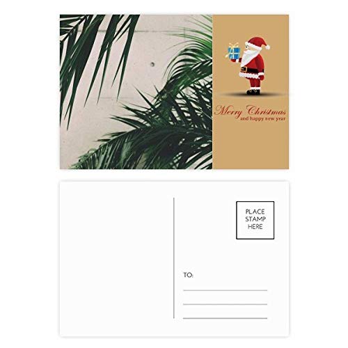 Cartes postales Père Noël végétales, lot 20 cartes de vœux illustrées avec plantes d'hiver